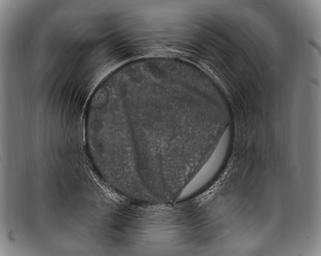 X0000097790838200804041234