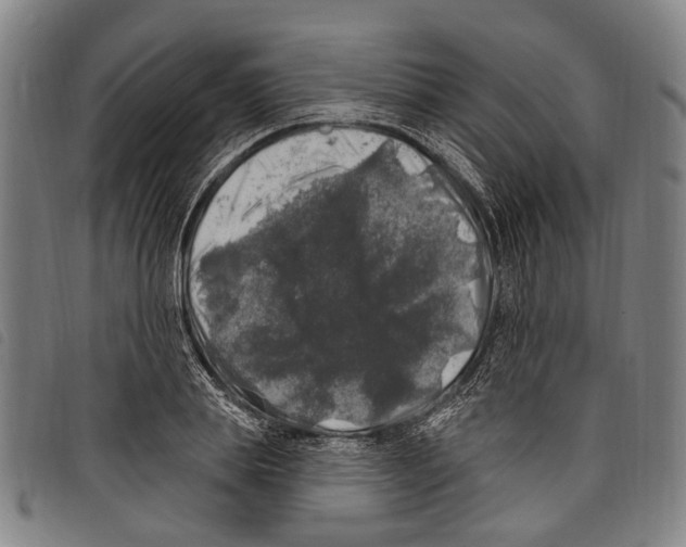 X0000097790839200804041234