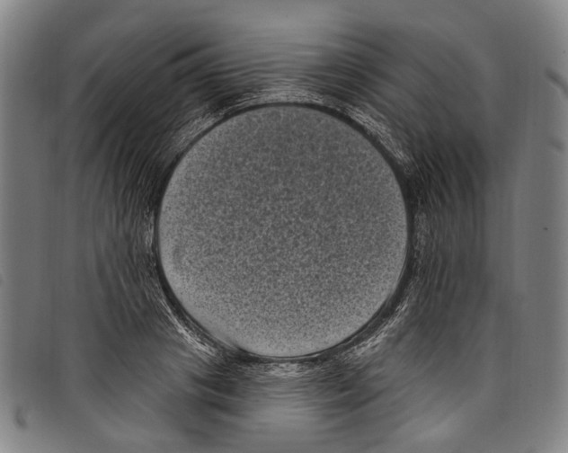 X0000097790841200804041234