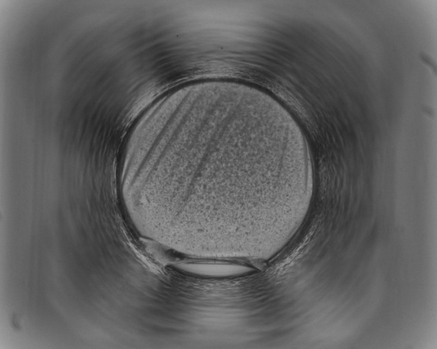 X0000097790842200804041234