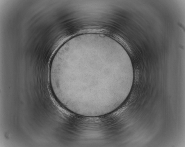 X0000097790844200804041234