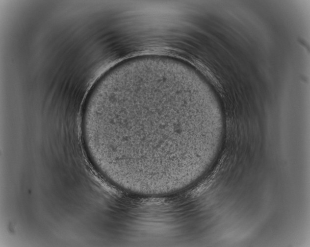 X0000097790846200804041234