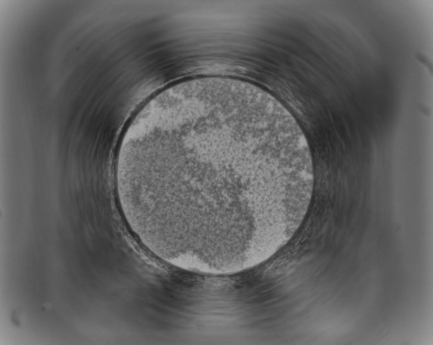 X0000097790848200804041234