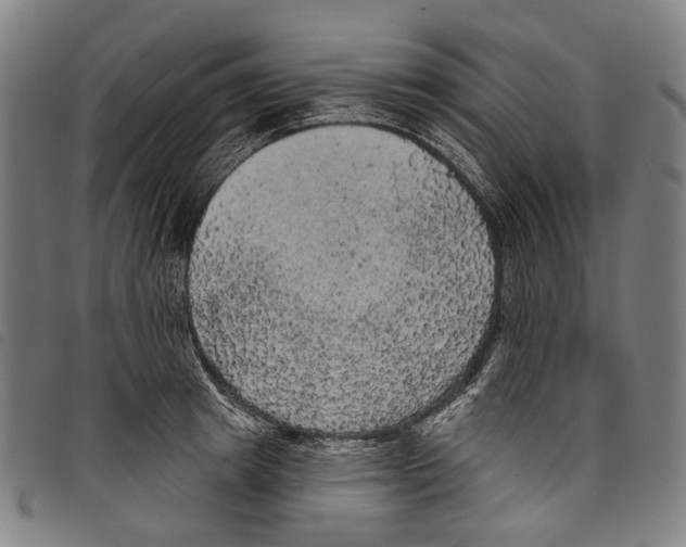 X0000097790849200804041234