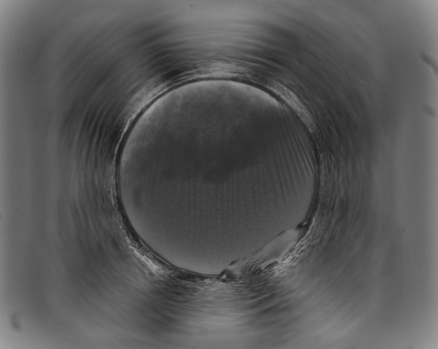 X0000097790850200804041234