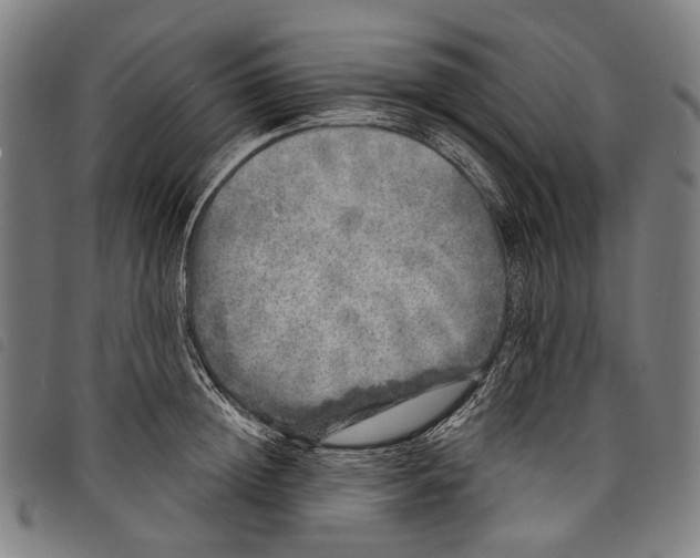 X0000097790852200804041234