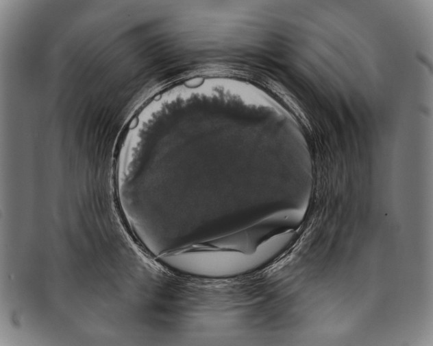 X0000097790853200804041234