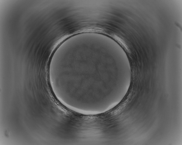 X0000097790854200804041234
