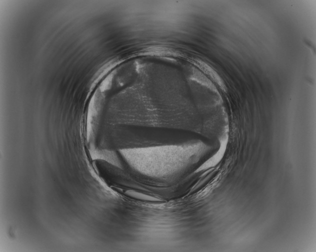 X0000097790855200804041234