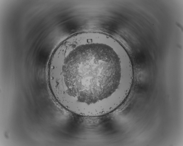 X0000097790856200804041234