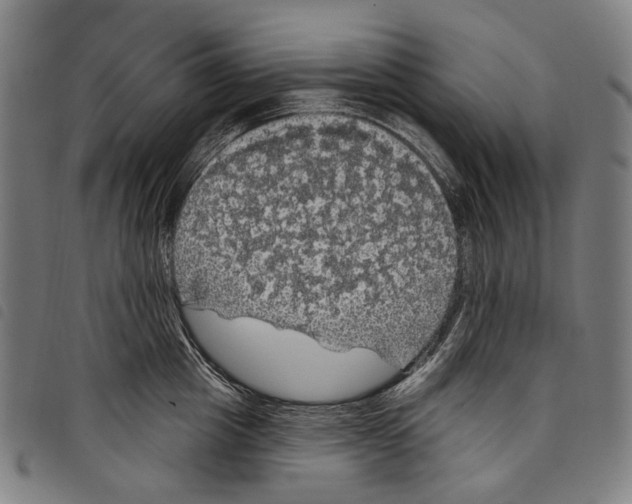 X0000097790857200804041234