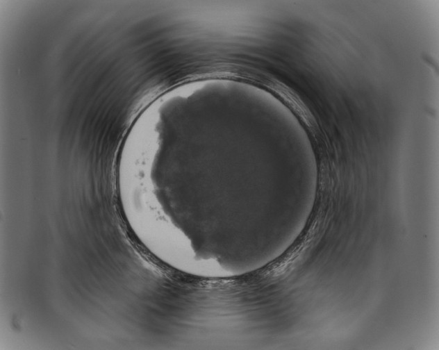 X0000097790858200804041234