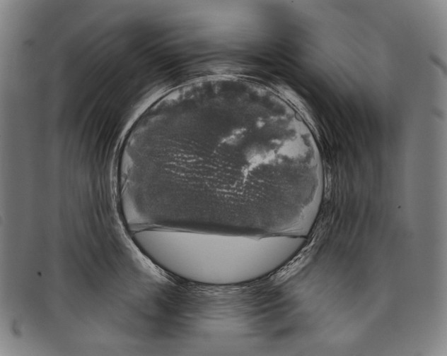 X0000097790859200804041234