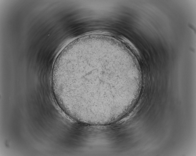 X0000097790860200804041234