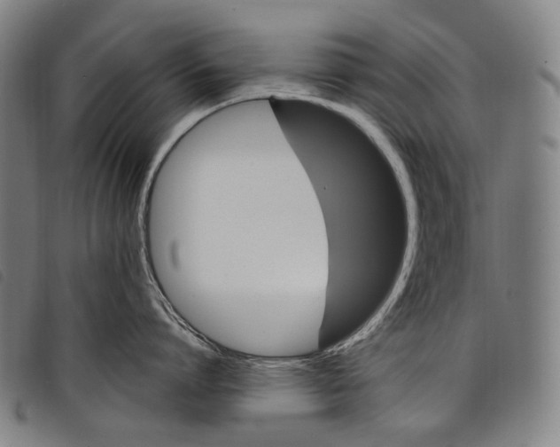 X0000097790864200804041234