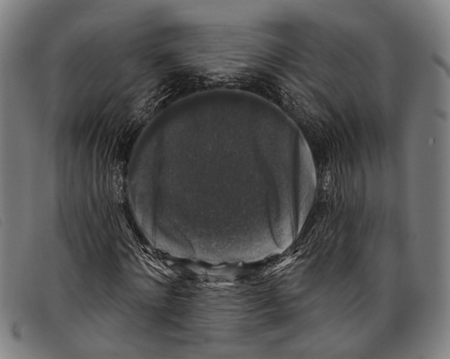 X0000097790868200804041233
