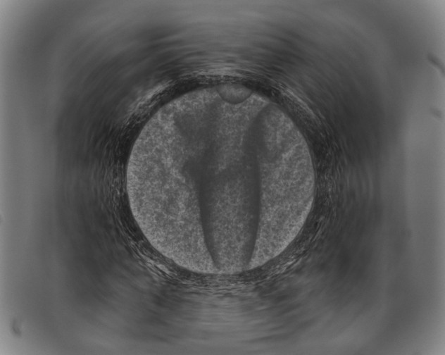X0000097790870200804041233