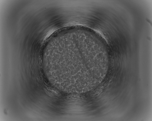 X0000097790871200804041233