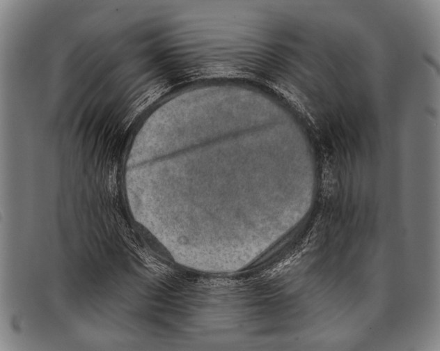 X0000097790873200804041233