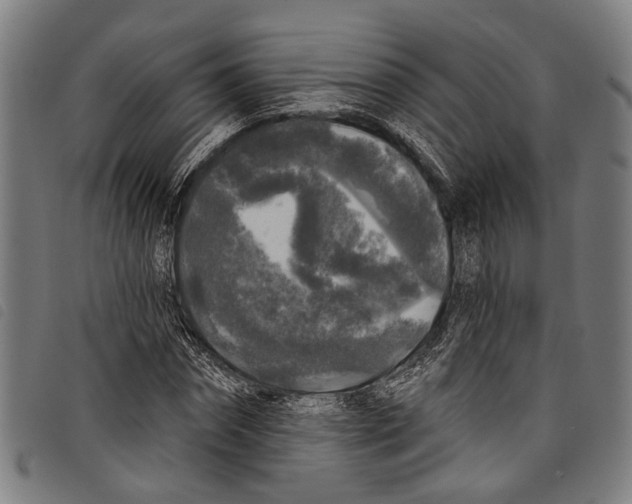 X0000097790874200804041233