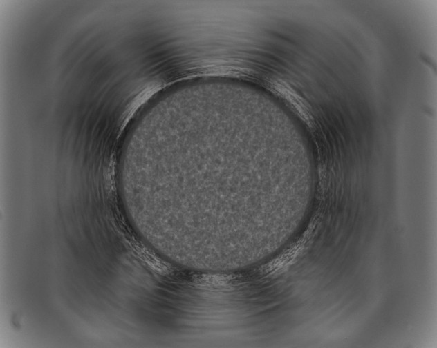 X0000097790875200804041233