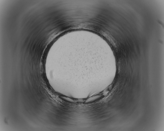 X0000097790876200804041233