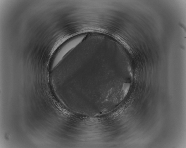 X0000097790877200804041233