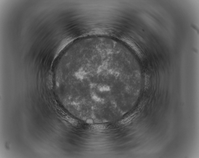 X0000097790878200804041233