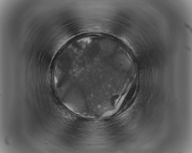 X0000097790879200804041233