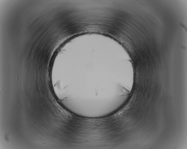 X0000097790880200804041233