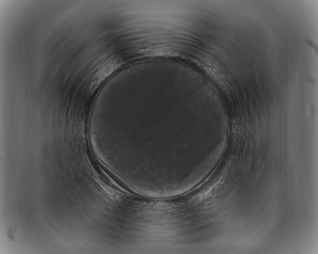 X0000097790881200804041233