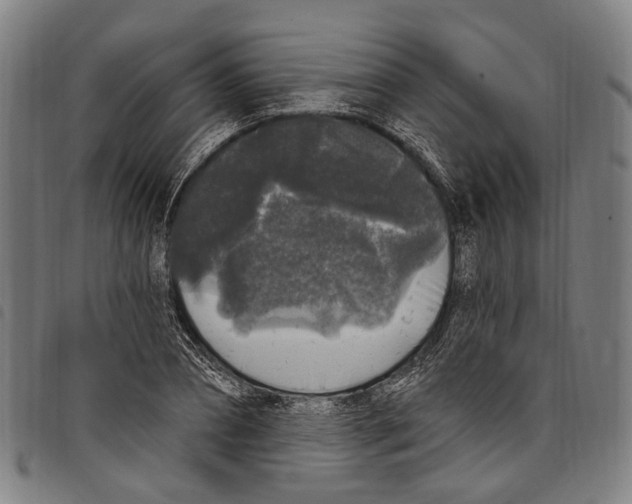 X0000097790882200804041233