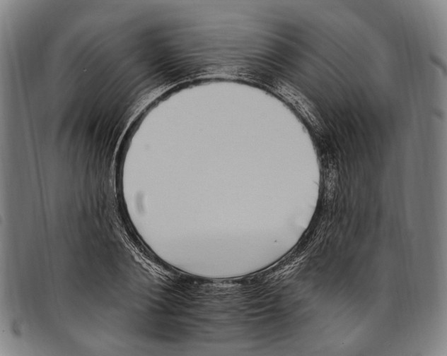 X0000097790884200804041233