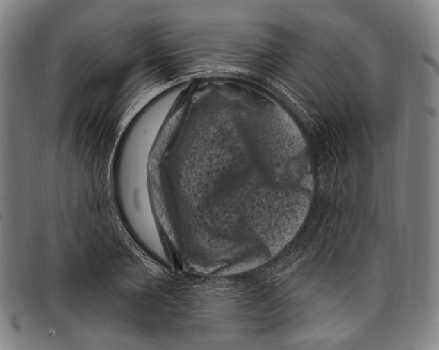 X0000097790885200804041233