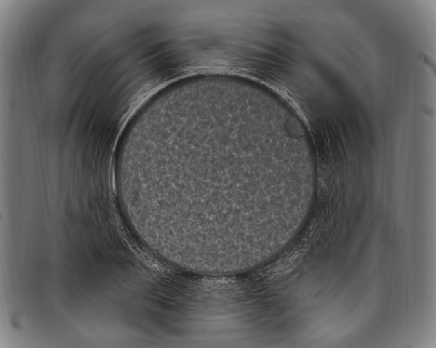 X0000097790887200804041233