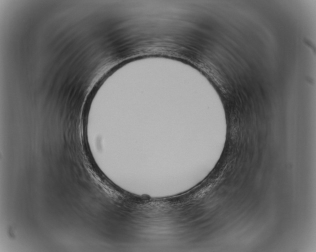 X0000097790888200804041233