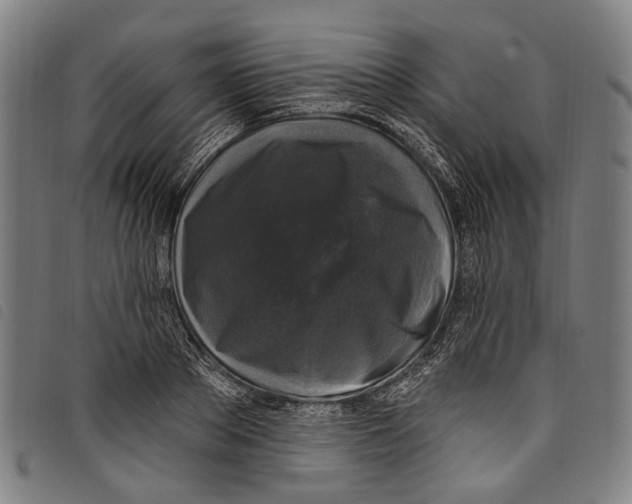 X0000097790889200804041233