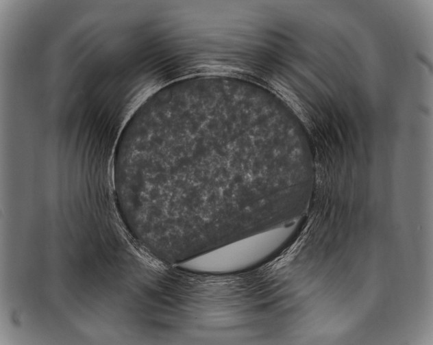 X0000097790891200804041233