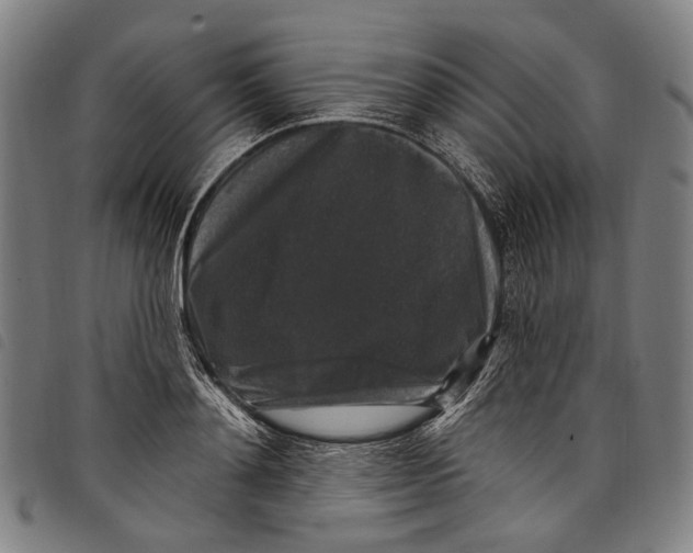 X0000097790892200804041233