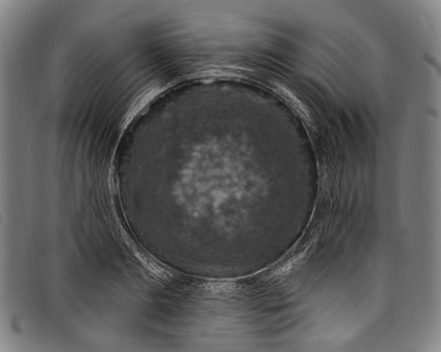 X0000097790893200804041233