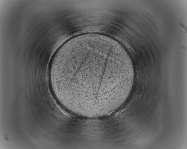 X0000097790894200804041233