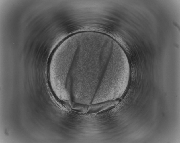 X0000097790896200804041233
