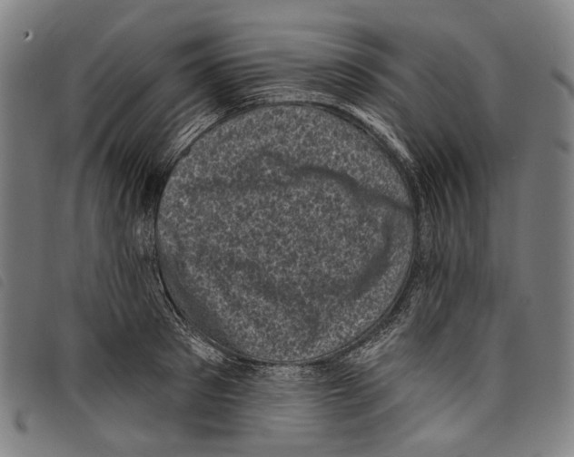 X0000097790897200804041233