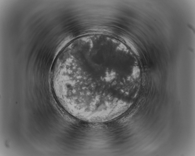 X0000097790899200804041233