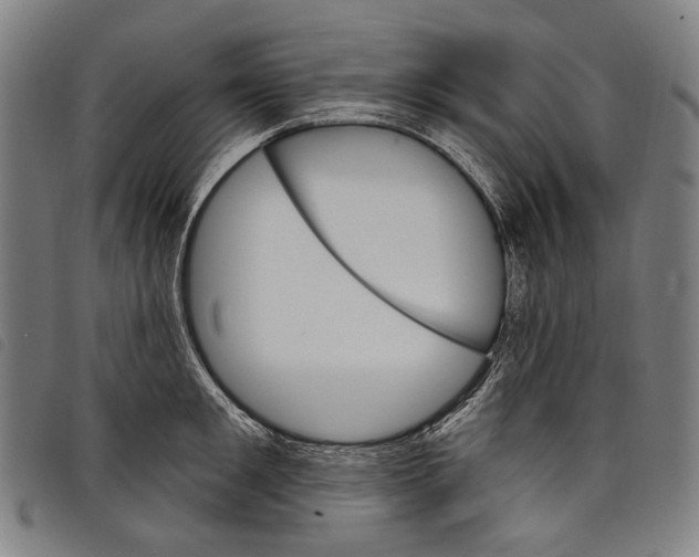 X0000097790901200804041233