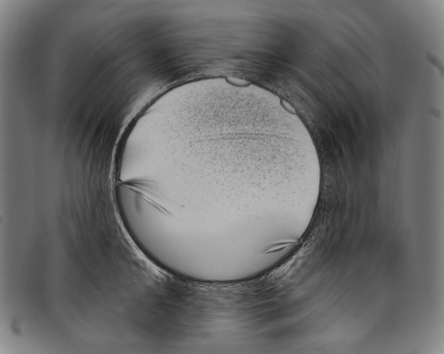 X0000097790902200804041233