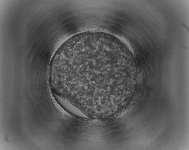 X0000097790903200804041233