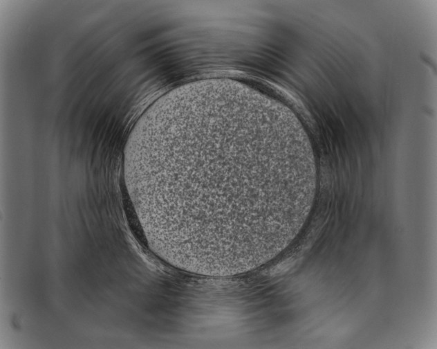 X0000097790905200804041233