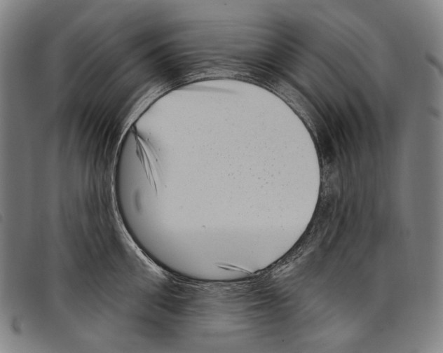 X0000097790906200804041233