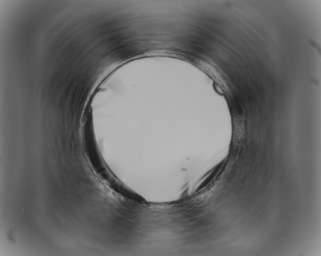 X0000097790908200804041233